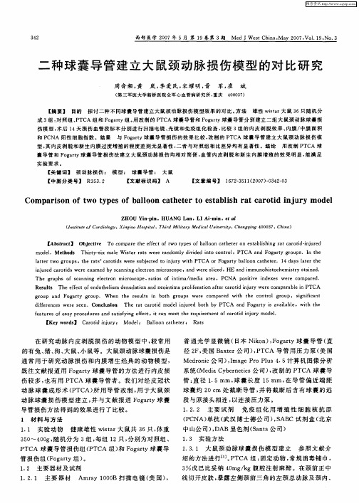 二种球囊导管建立大鼠颈动脉损伤模型的对比研究