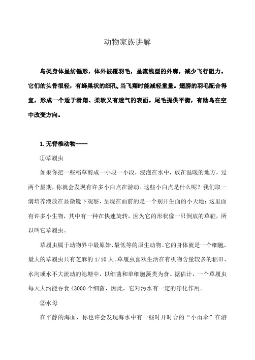 动物家族讲解