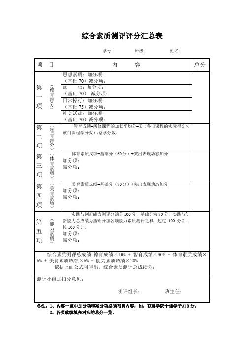 综合测评评分汇总表格(个人)(1) (1)