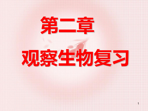 浙教版 初一科学 第二章观察生物复习PPT课件