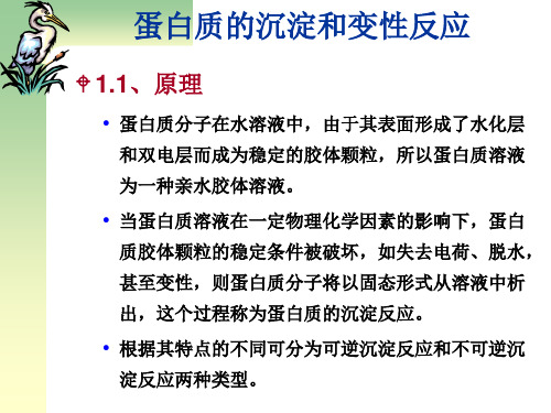 浙江大学生物化学实验甲 蛋白质的沉淀和变性反应