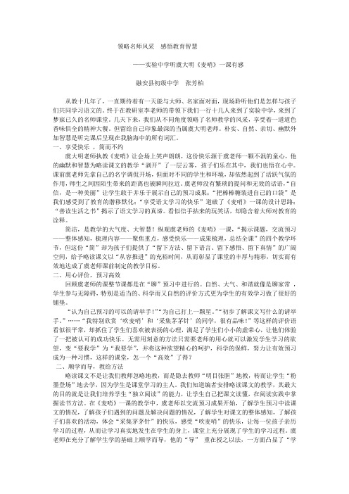 领略名师风采感悟教育智慧