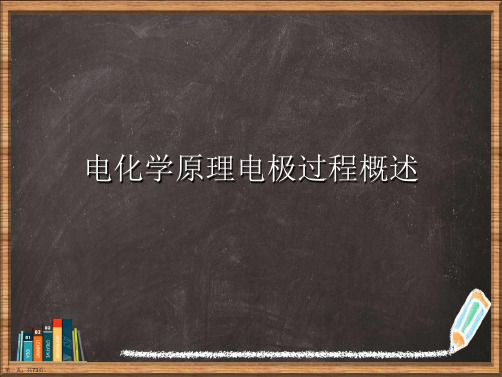 电化学原理电极过程概述详解