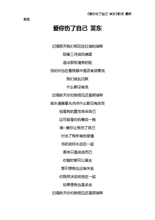 《爱你伤了自己 笑东》歌词 最新单曲