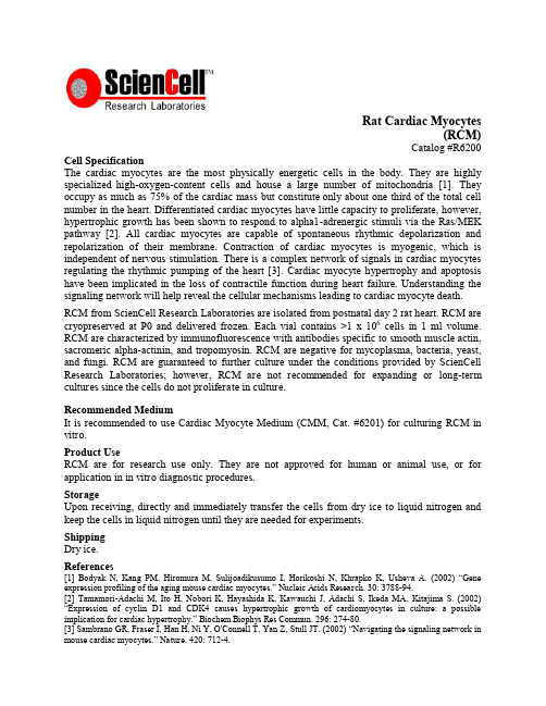 RatCardiacMyocytes(RCM):大鼠心肌细胞(RCM)