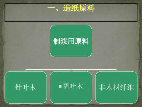 制浆造纸工艺