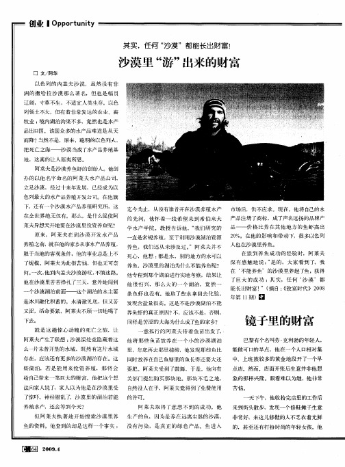 镜子里的财富