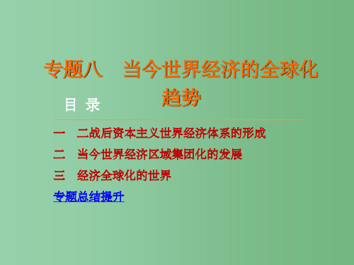 高考历史 专题八 当今世界经济的全球化趋势 人民版必修2