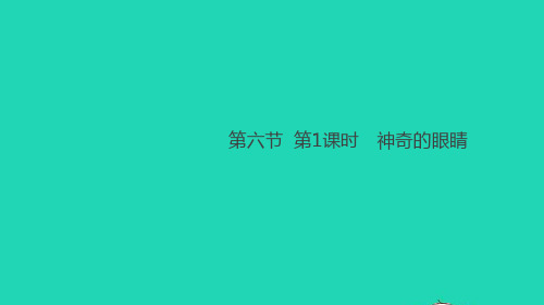 八年级物理全册第四章多彩的光第6节神奇的眼睛第1课时神奇的眼睛作业课件新版沪科版ppt