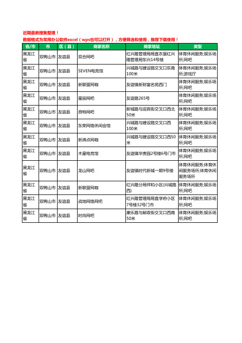 2020新版黑龙江省双鸭山市友谊县网吧工商企业公司商家名录名单黄页联系方式大全12家