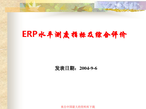 ERP水平测度指标及综合评价(PPT 17)