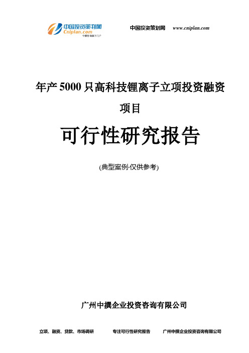 年产5000只高科技锂离子融资投资立项项目可行性研究报告(中撰咨询)