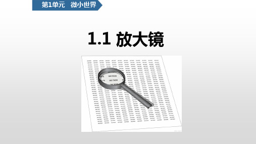 教科版六年级上册科学第一课放大镜课件