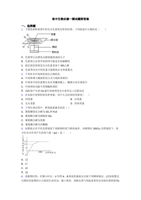 高中生物必修一测试题附答案