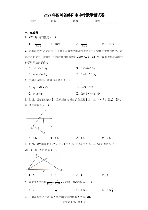 2023年四川省绵阳市中考数学测试卷(含解析)