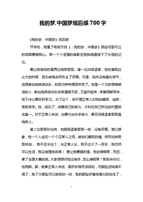 我的梦,中国梦观后感700字