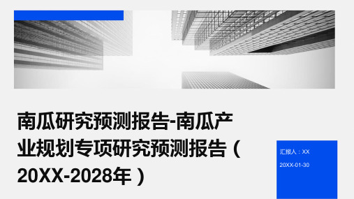 南瓜研究预测报告-南瓜产业规划专项研究预测报告(2024-2028年)