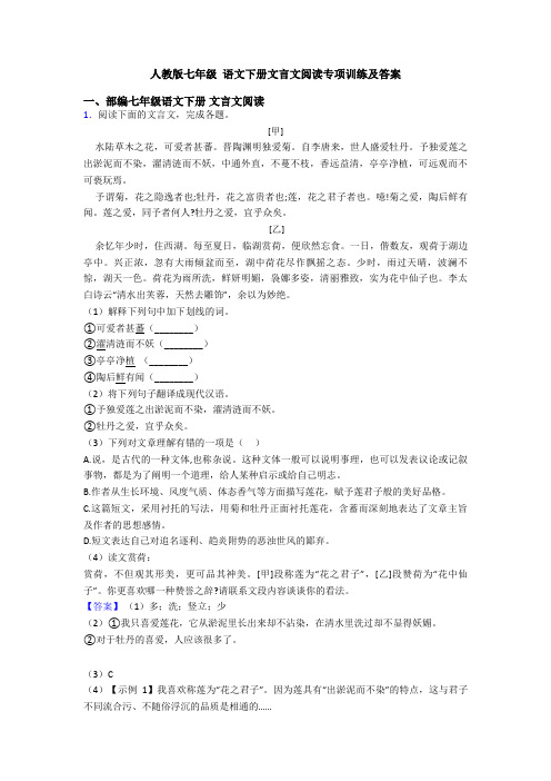 人教版七年级 语文下册文言文阅读专项训练及答案