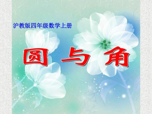 沪教版(54制)数学四上第6单元《圆与角的复习