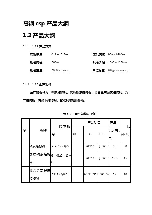 csp产品大纲