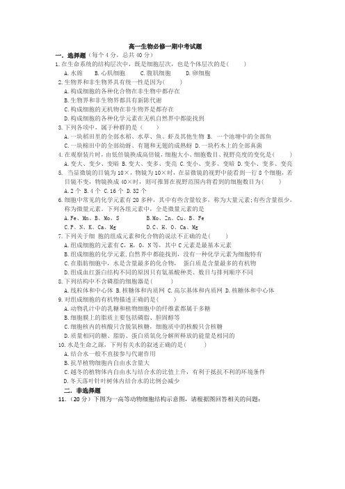 黄冈传奇高一生物期中试卷第一套