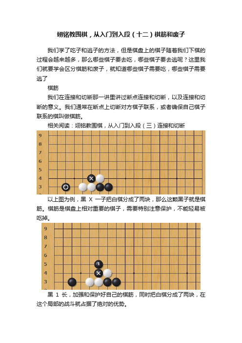 翊铭教围棋，从入门到入段（十二）棋筋和废子