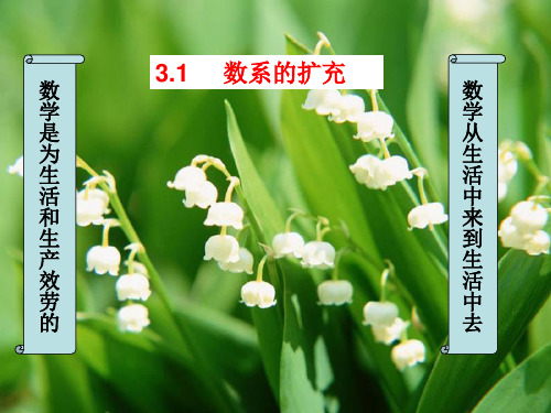 高中数学选修1-2课件:3.1.1数系的扩充