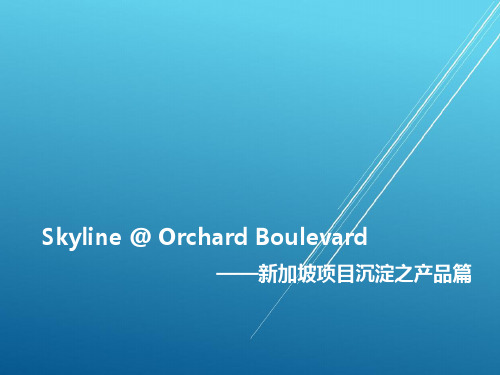 二发中心新加坡Skyline项目案例沉淀产品篇