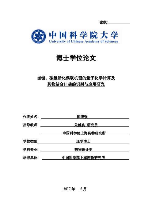 卤键、碳氢活化偶联机理的量子化学计算及药物结合口袋的识别与应用研究