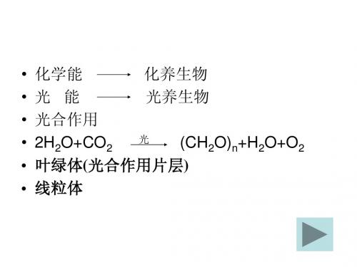 第一节  叶绿体与光合作用