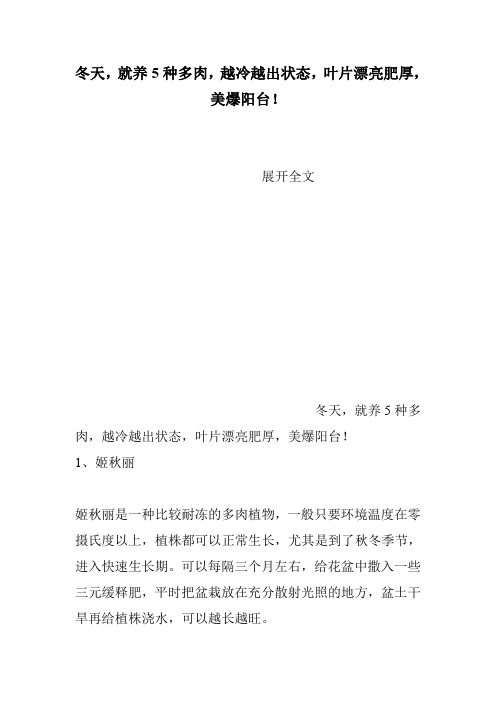 冬天,就养5种多肉,越冷越出状态,叶片漂亮肥厚,美爆阳台!