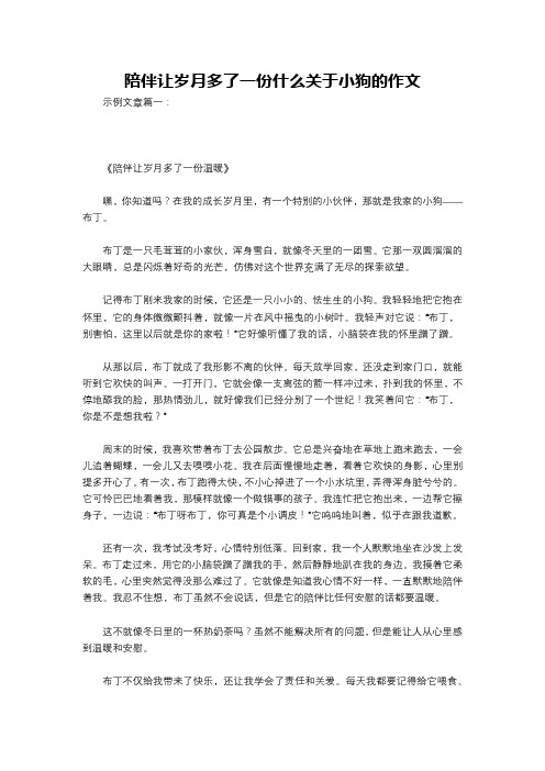 陪伴让岁月多了一份什么关于小狗的作文