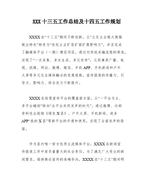 XXX十三五工作总结及十四五工作规划