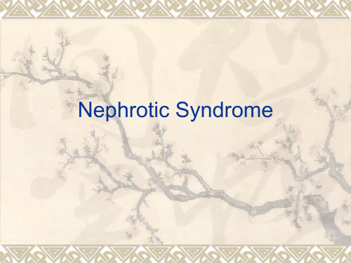 Nephrotic Syndrome-精品医学课件