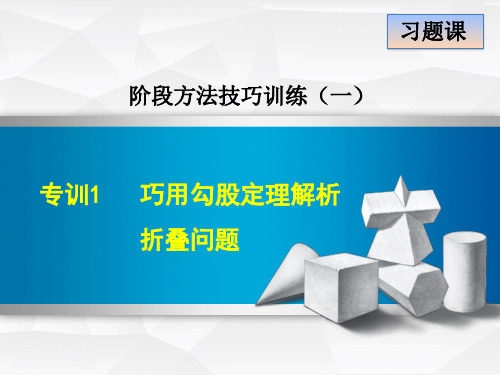 专训巧用勾股定理解析折叠问题