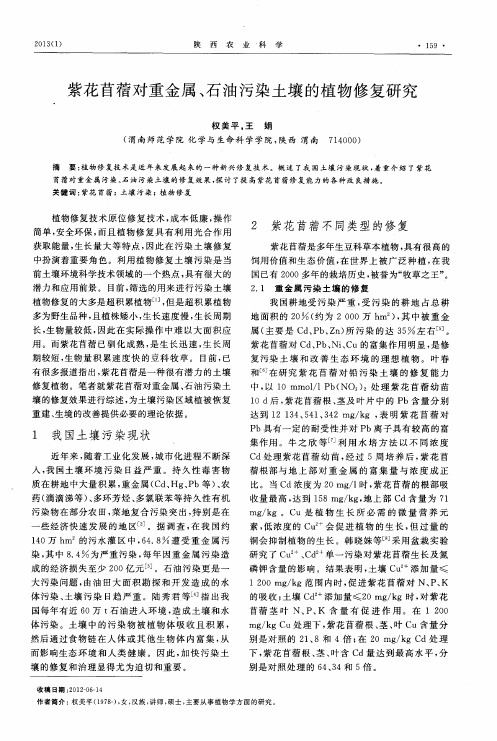 紫花苜蓿对重金属、石油污染土壤的植物修复研究
