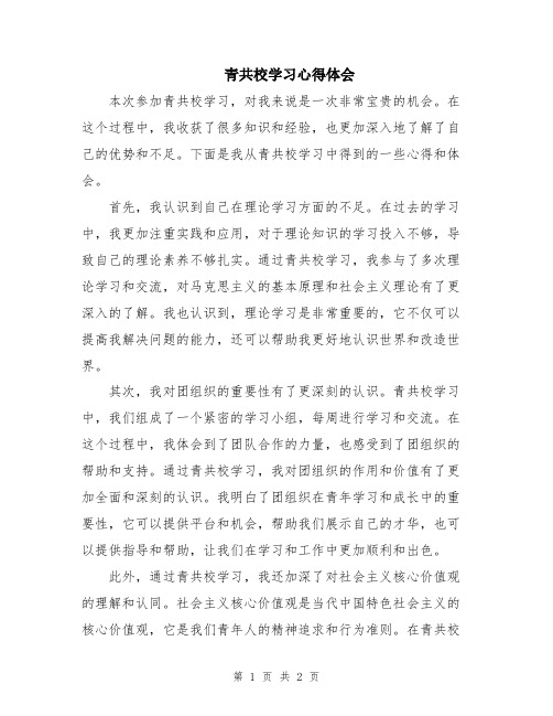 青共校学习心得体会