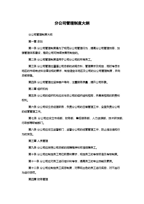 分公司管理制度大纲