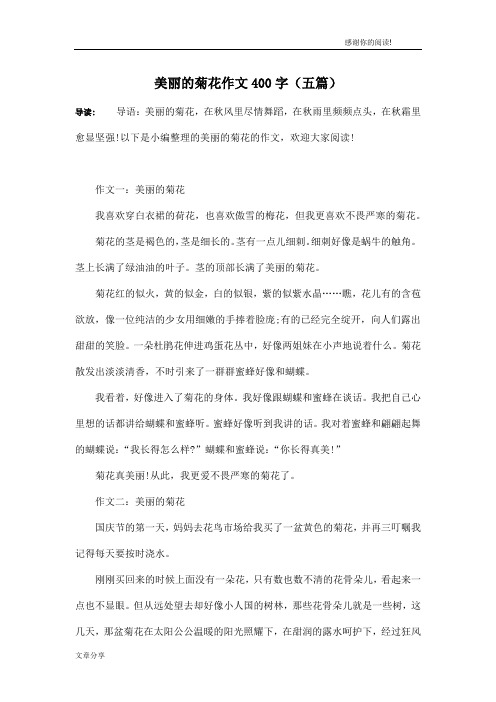 美丽的菊花作文400字(五篇)