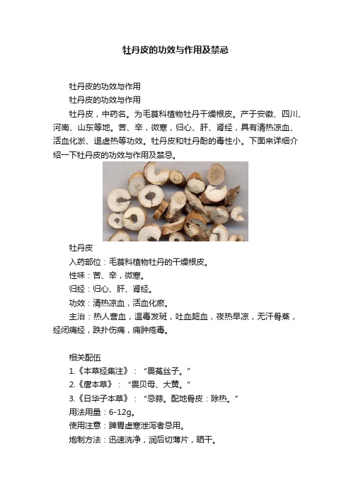 牡丹皮的功效与作用及禁忌