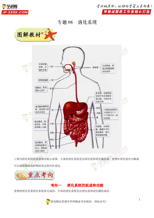 专题06 消化系统-备战中考河南生物识图题之专项提分(解析版)