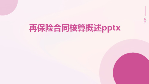 再保险合同核算概述pptx