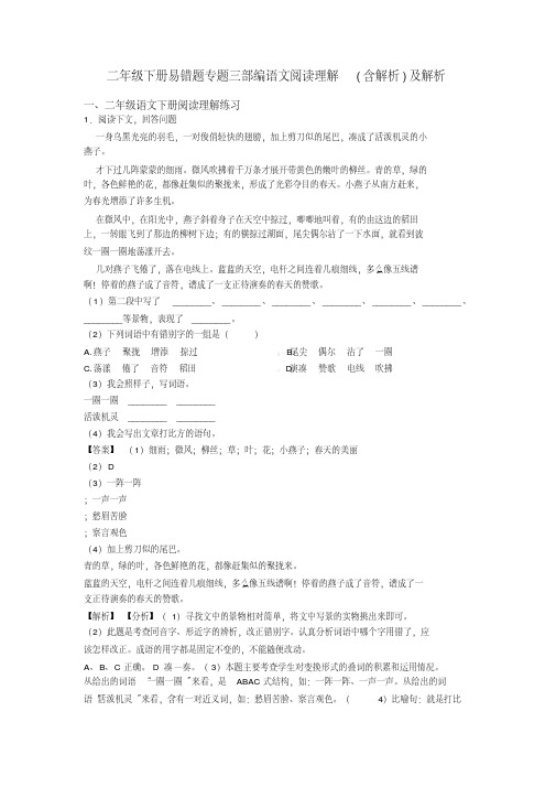 二年级二年级下册易错题专题三部编语文阅读理解(含解析)及解析