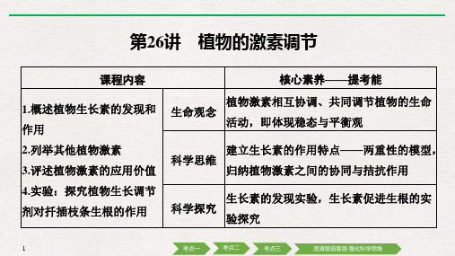 新高考生物总复习选修1 第26讲 植物的激素调节