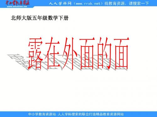 北师大版五年级下册《露在外面的面》ppt课件