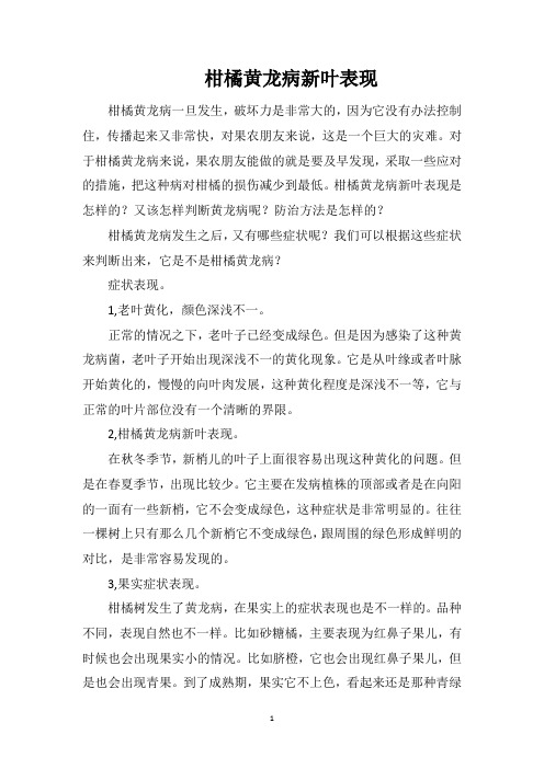 柑橘黄龙病新叶表现