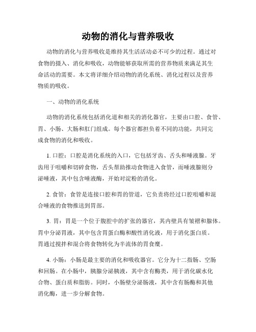 动物的消化与营养吸收