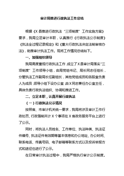 审计局推进行政执法工作总结