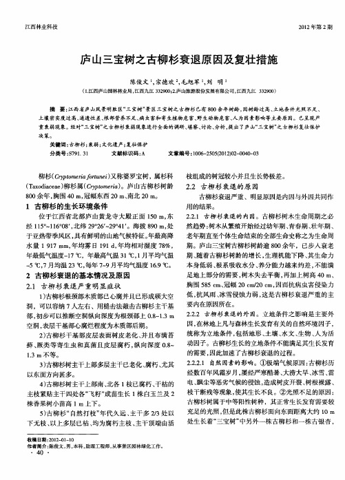 庐山三宝树之古柳杉衰退原因及复壮措施