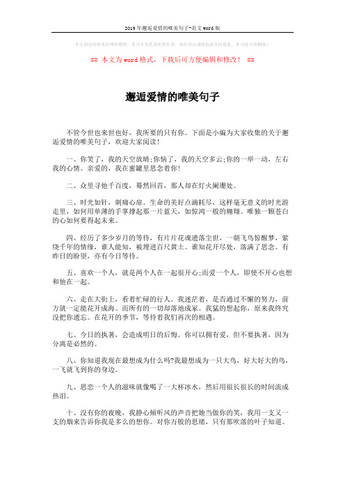 2019年邂逅爱情的唯美句子-范文word版 (6页)